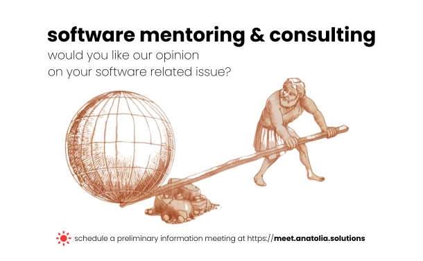 Software-related Mentoring and Consulting