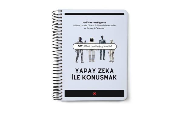 Talking to AI Study Guide in Turkish