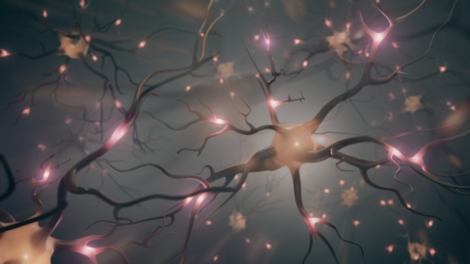 Does Artificial Intelligence Have Consciousness?